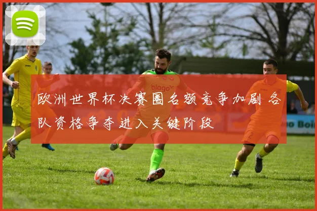 欧洲世界杯决赛圈名额竞争加剧 各队资格争夺进入关键阶段