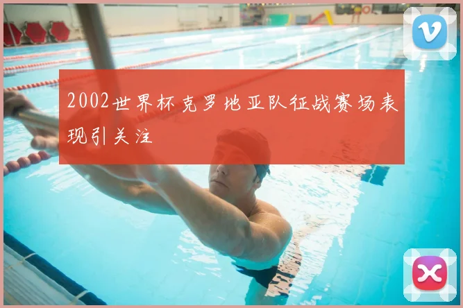 2002世界杯克罗地亚队征战赛场表现引关注